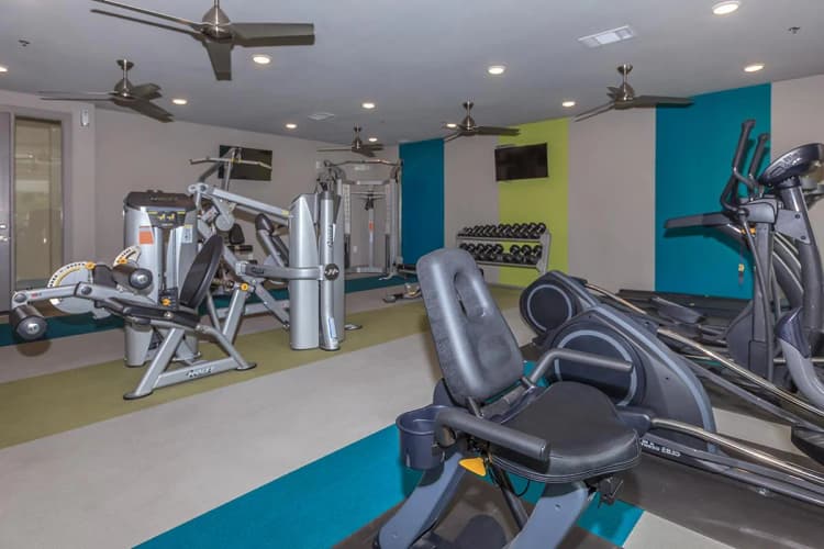 Arlington apartments for rent - image - 404 Border - Gym.jpg