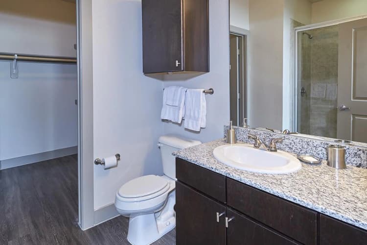 Arlington apartments for rent - image - 404 Border - Bathroom 1.jpg