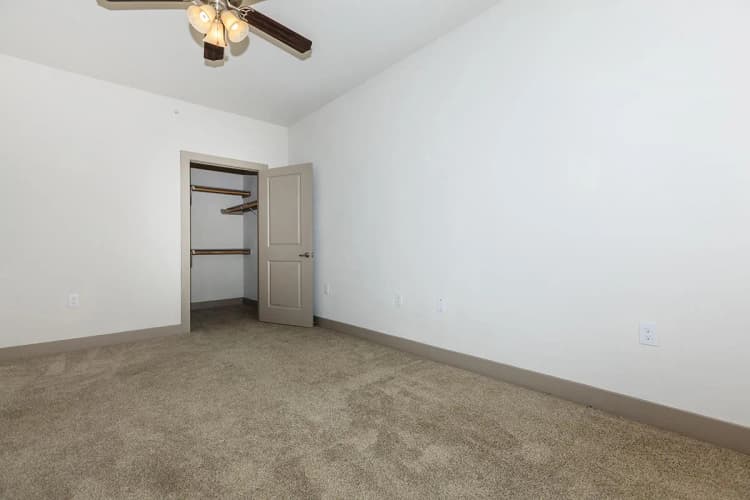 Arlington apartments for rent - image - 404 Border - Bedroom 1.jpg