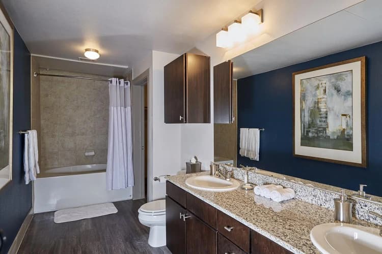 Arlington apartments for rent - image - 404 Border - Bathroom.jpg