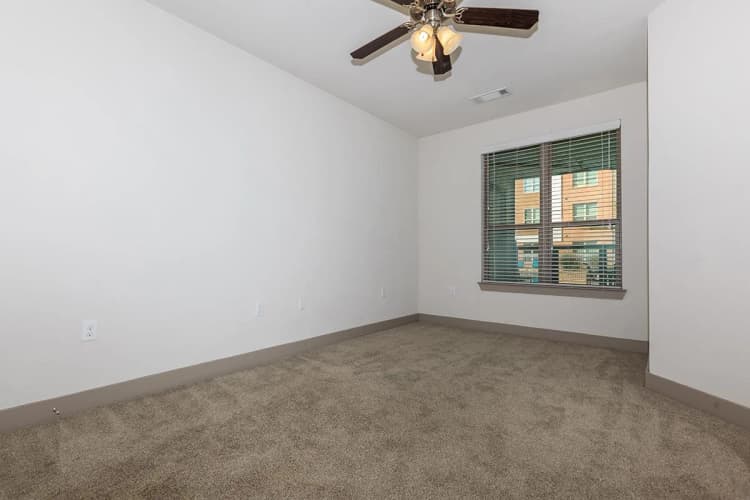 Arlington apartments for rent - image - 404 Border - Bedroom 2.jpg