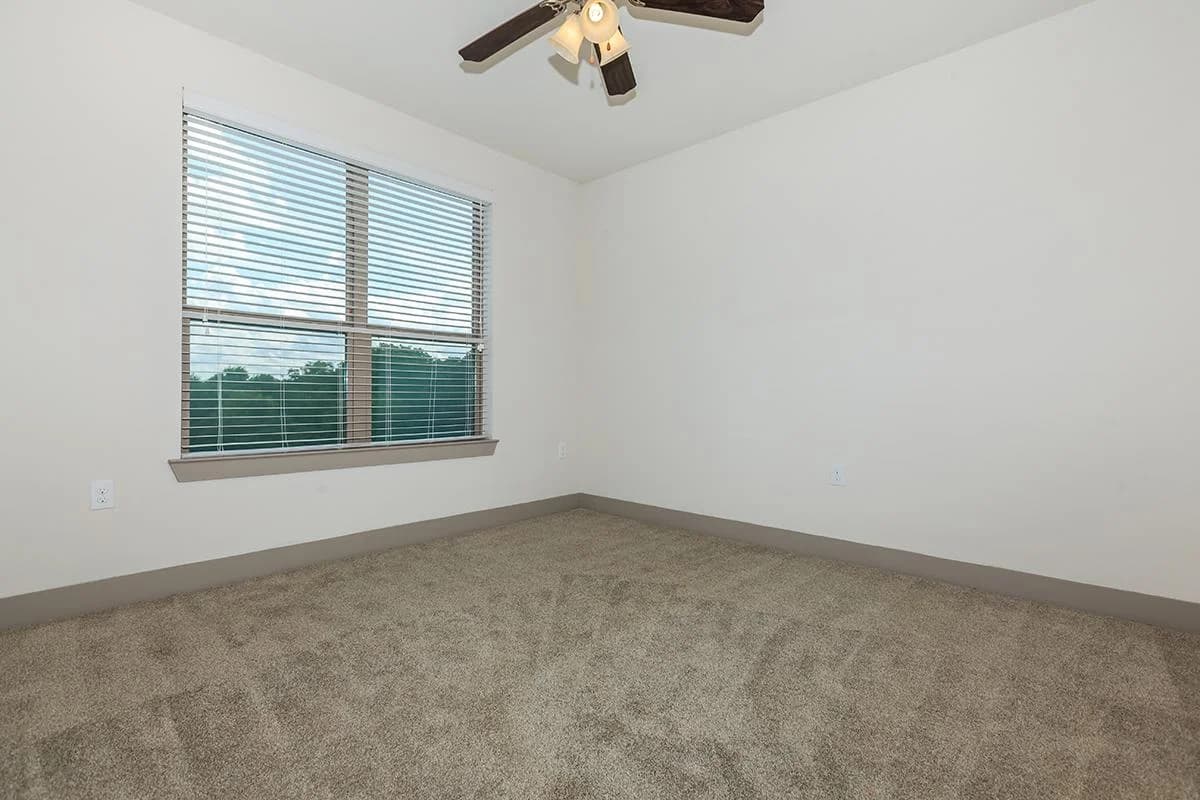 Arlington apartments for rent - image - 404 Border - Bedroom 6.jpg