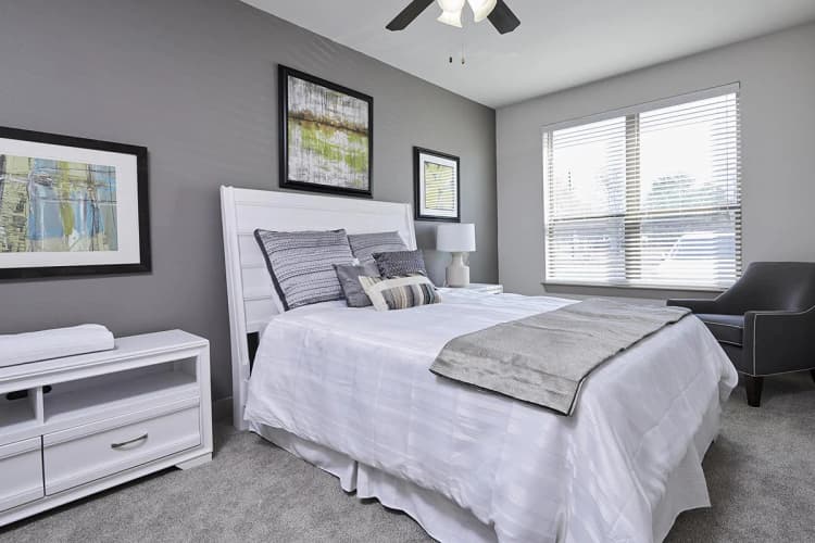 Arlington apartments for rent - image - 404 Border - Bedroom.jpg