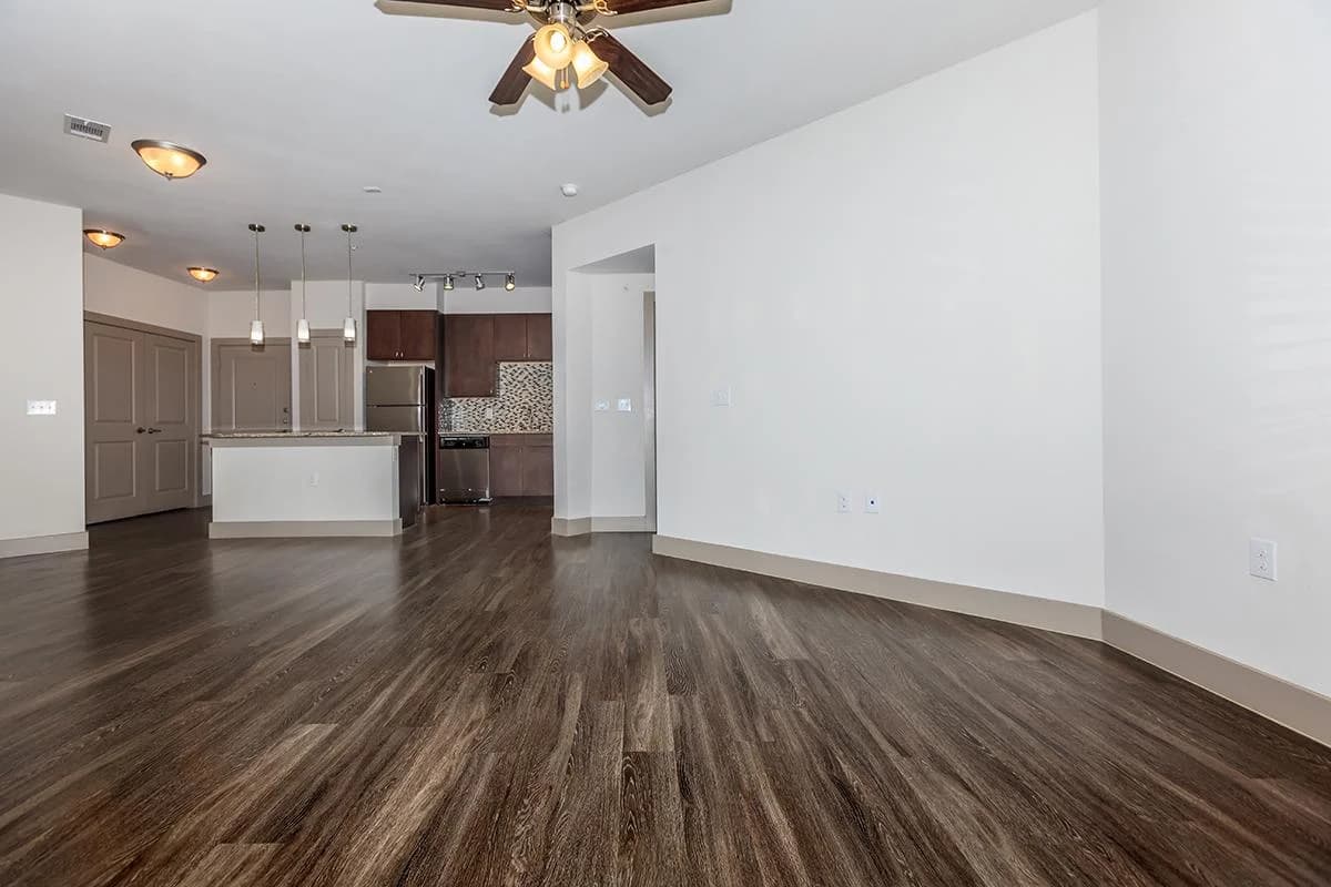 Arlington apartments for rent - image - 404 Border - Living room & Kitchen 1.jpg