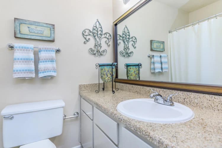 Arlington apartments for rent - image - Oak Chase - Bathroom 1.jpg