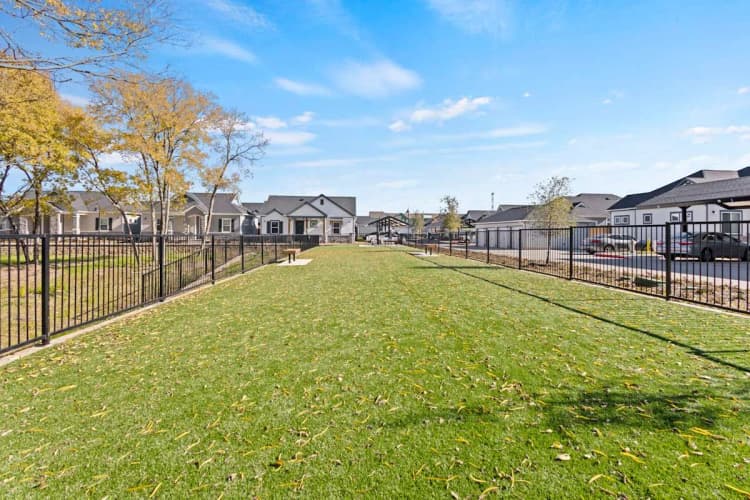 Arlington apartments for rent - image - Avilla Lakeridge - 19.jpeg