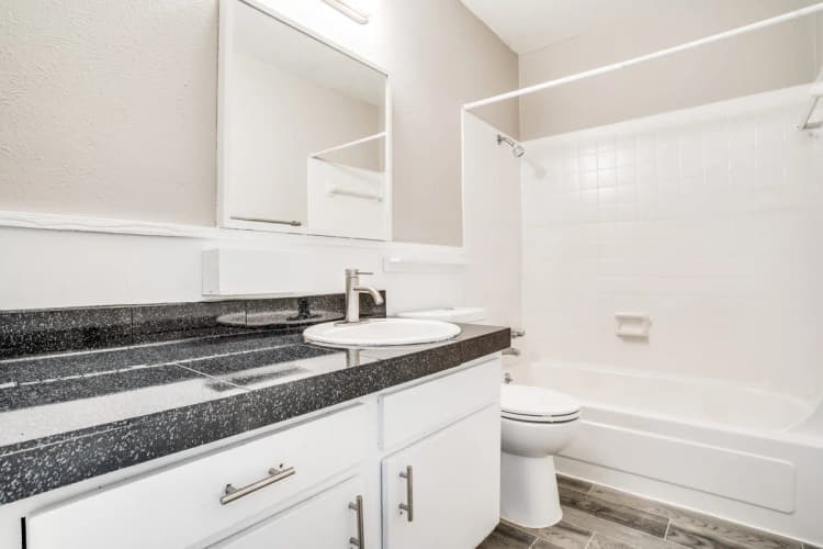 Arlington apartments for rent - image - Zen - 5.jpg