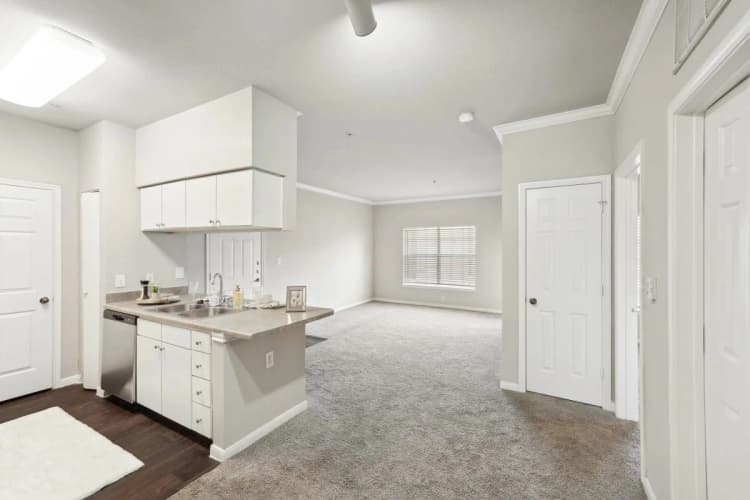 Arlington apartments for rent - image - Falcon Lakes - 11.jpg