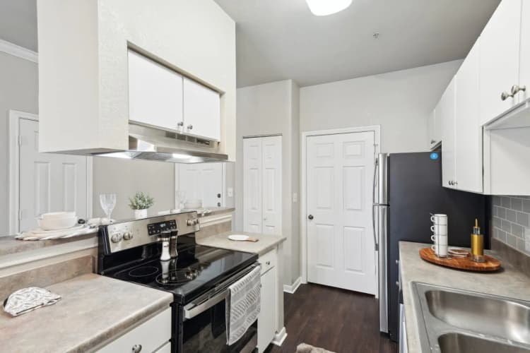 Arlington apartments for rent - image - Falcon Lakes - 18.jpg