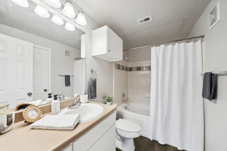 Arlington apartments for rent - image - Falcon Lakes - 20.jpg