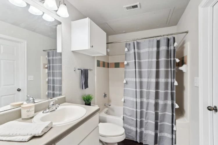 Arlington apartments for rent - image - Falcon Lakes - 21.jpg