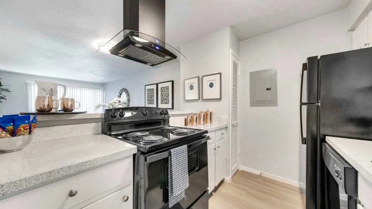 Arlington apartments for rent - image - Hendrix - 07.jpg
