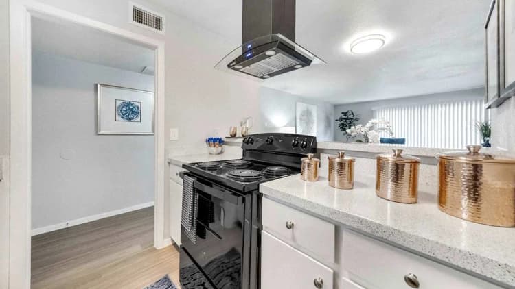 Arlington apartments for rent - image - Hendrix - 08.jpg