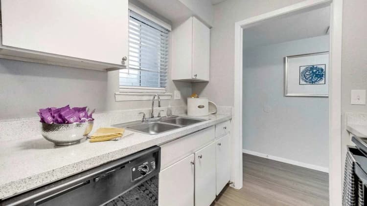 Arlington apartments for rent - image - Hendrix - 11.jpg
