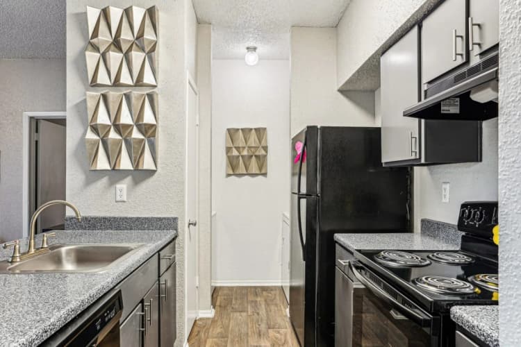 Arlington apartments for rent - image - Laurels Of Sendera - 07.jpg