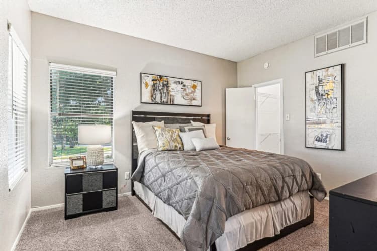 Arlington apartments for rent - image - Laurels Of Sendera - 08.jpg