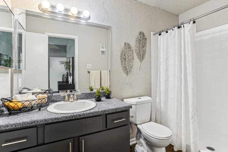 Arlington apartments for rent - image - Laurels Of Sendera - 10.jpg