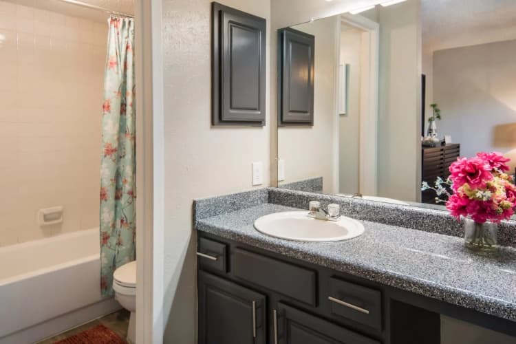 Arlington apartments for rent - image - Pavilion - 18.jpg
