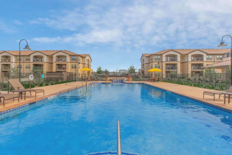 Arlington apartments for rent - image - Seleno At Harris Road 55+ Apartments - 09.jpg